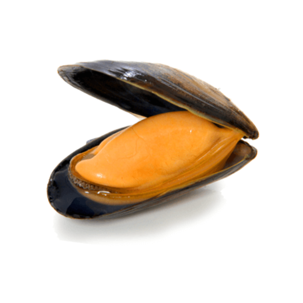 moules demi coquille