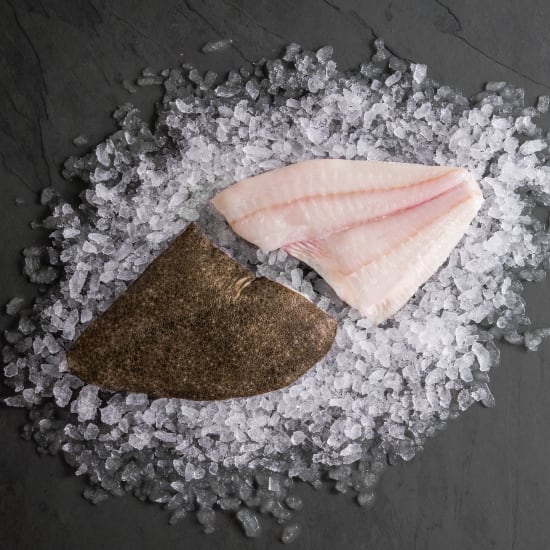 Les filets de turbot sont des morceaux délicats et savoureux de ce poisson plat, réputé pour sa chair blanche et ferme. Souvent considérés comme un mets raffiné, ils se prêtent à une variété de préparations culinaires, allant de la cuisson au four à la poêle, en passant par la vapeur. Leur goût subtil et leur texture fondante les rendent idéaux pour être accompagnés de sauces légères, de légumes frais ou de purées délicates.