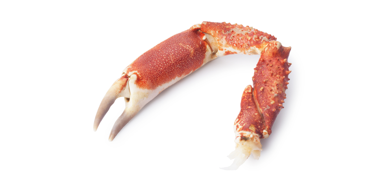 Pince araignee - 150 g  - Sur plateau