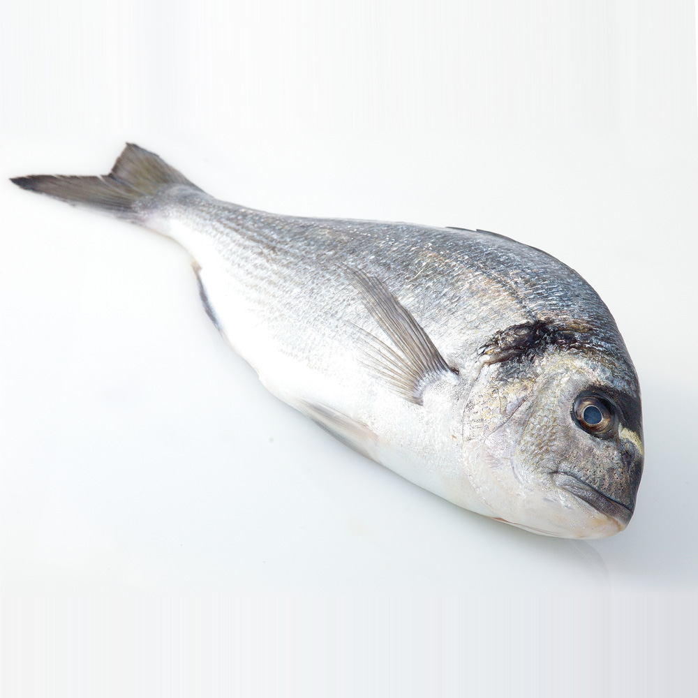 Dorade d'élevage, calibre 400/600 g, idéale pour une préparation au four, en papillote ou grillée. Poisson frais, savoureux et apprécié pour sa chair tendre et délicate.