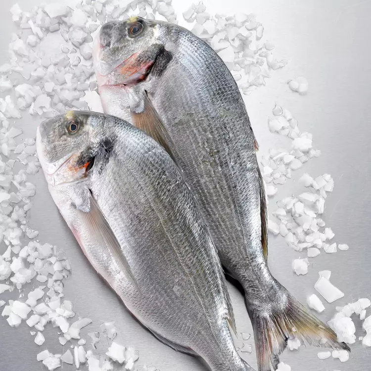 Dorade d'élevage, calibre 600/800 g, poisson frais et savoureux, idéal pour des préparations culinaires variées : grillée, au four ou en papillote. Provenant d'élevages contrôlés, elle garantit une qualité optimale et une chair tendre.
