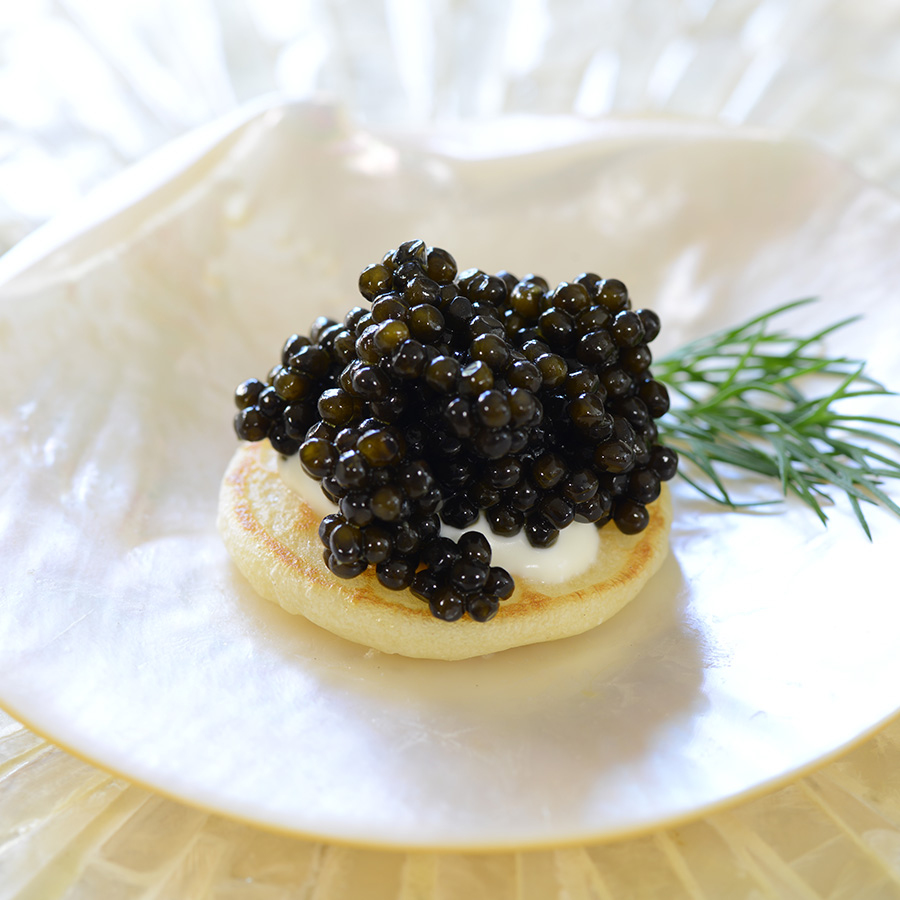 Le caviar Beluga est un mets d'exception, réputé pour ses œufs de grande taille, sa texture délicate et son goût raffiné. Issu de l'esturgeon Beluga, l'une des espèces les plus rares, ce caviar est souvent considéré comme le plus prestigieux au monde. Sa couleur varie du gris clair au gris foncé, et ses saveurs uniques, légèrement beurrées et iodées, séduisent les palais les plus exigeants. Symbole de luxe et de sophistication, il est généralement dégusté nature, accompagné de blinis ou de crème fraîche, pour en apprécier pleinement les nuances subtiles.