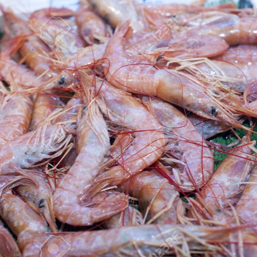 Crevettes rose entière fraîches, pêchées et prêtes à être dégustées. Produits de qualité supérieure, idéales pour vos plats de fruits de mer.