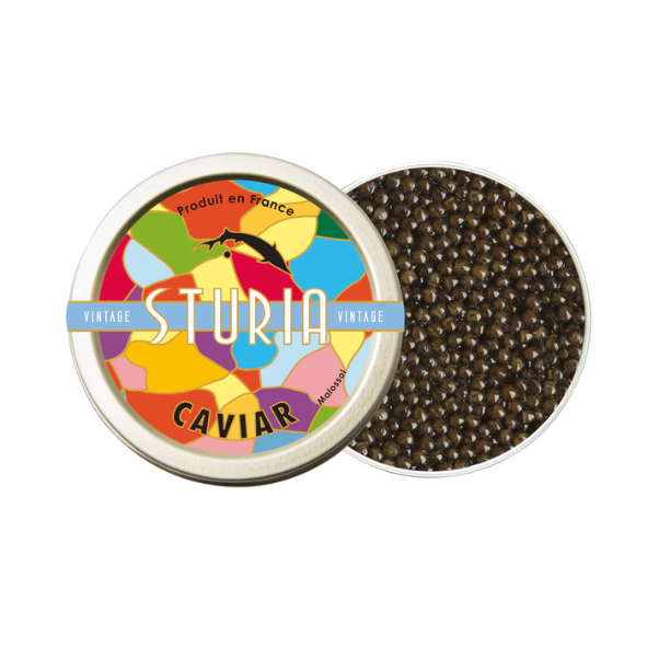 sturia baeri vintage