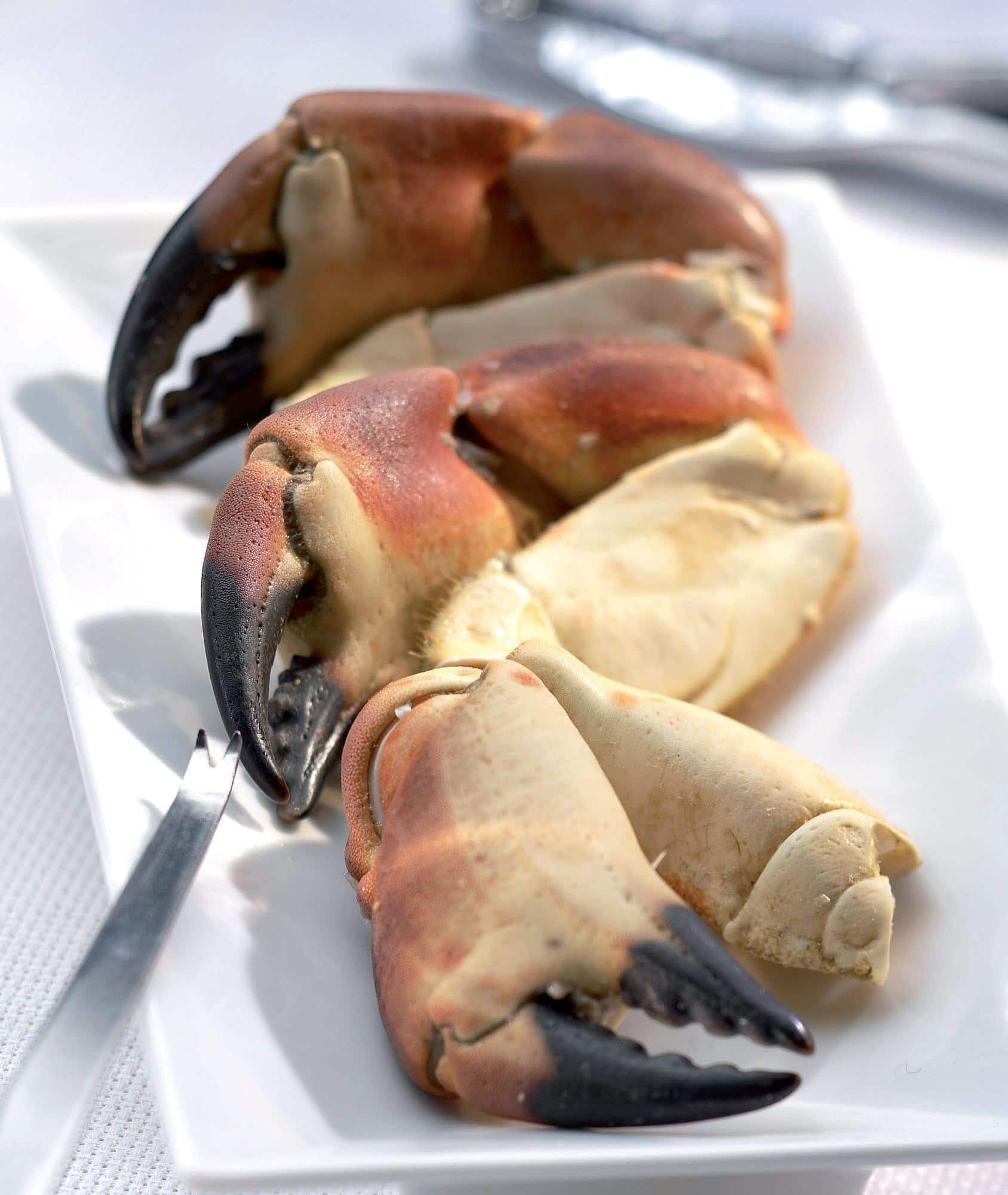 Pinces de tourteaux cuites 8/12