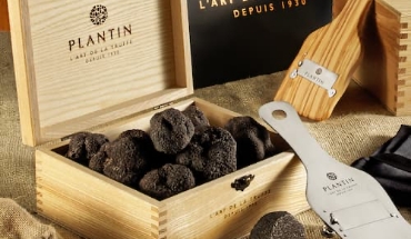 Truffe d’été surgelée – Sachets 100 g & 500 g